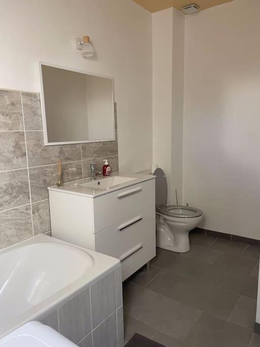 Maison Mitoyenne Avec Cour + Parking Sainte-Savine Zewnętrze zdjęcie